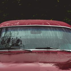 adam-patterson-Ws7VO2tJWVg-unsplash